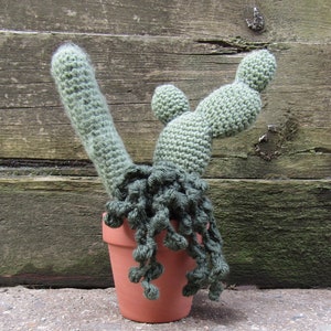 Crochet Cactus/Succulent Trio in Terracotta Pot