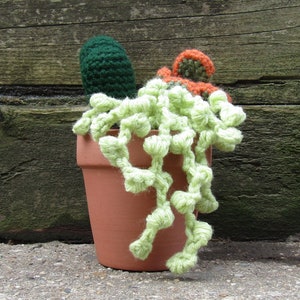 Crochet Cactus/Succulent Trio in Terracotta Pot