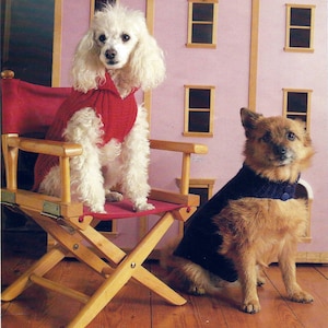 Puede incluir: Dos perros con suéteres, un caniche blanco con un suéter rojo sentado en una silla de director de madera, y un terrier marrón con un suéter azul sentado en el suelo.