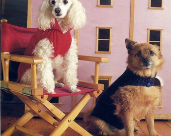 May include: Two dogs wearing jumpers, one white poodle wearing a red jumper sitting on a wooden director's chair, and a brown terrier wearing a blue jumper sitting on the floor.