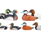Assorted Hand-Painted Miniature Wooden Duck Decoy Carved Bird Ornament Male Figurine Small Animals Collectible