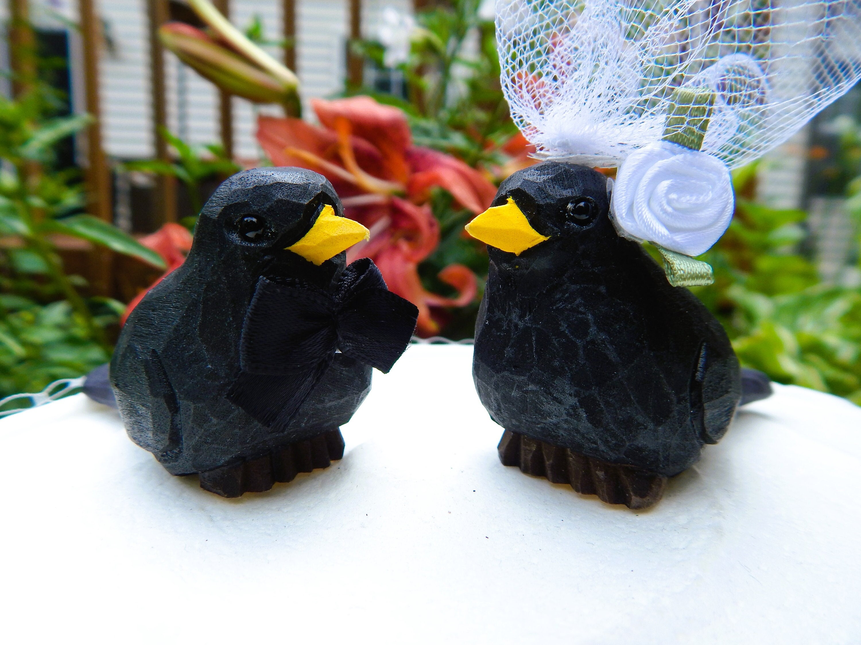 Eurasian Blackbird - Etsy