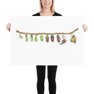May include: A line of green, yellow, and purple chrysalises hang from a brown branch.  The chrysalises are in various stages of development, with some showing the wings of the butterfly inside.  A few butterflies have emerged and are flying away.