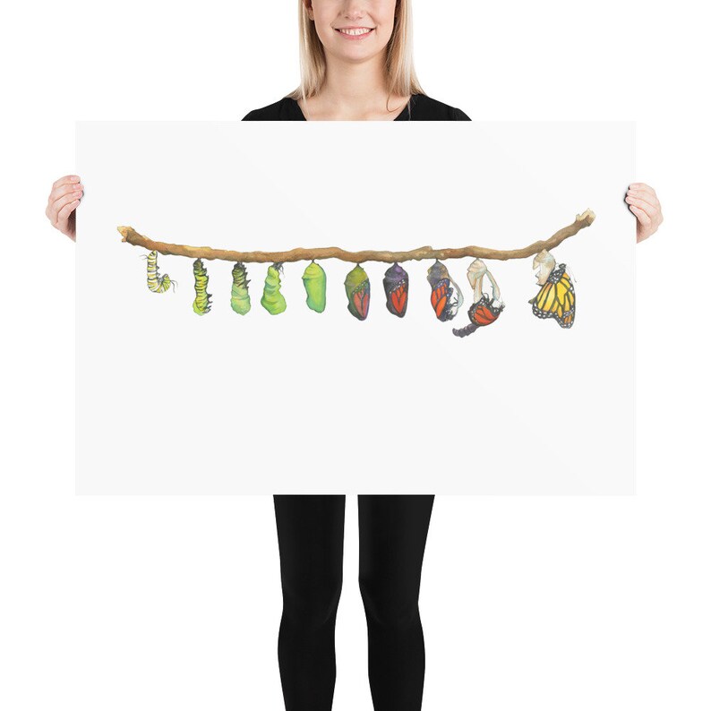 May include: A line of green, yellow, and purple chrysalises hang from a brown branch.  The chrysalises are in various stages of development, with some showing the wings of the butterfly inside.  A few butterflies have emerged and are flying away.