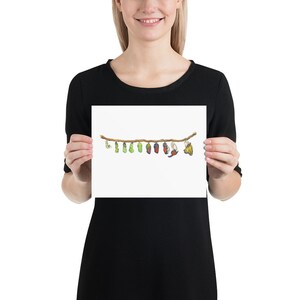 May include: A watercolor illustration of a branch with a series of butterfly chrysalises in various stages of development, from green to brown to red and finally a butterfly emerging from its chrysalis.