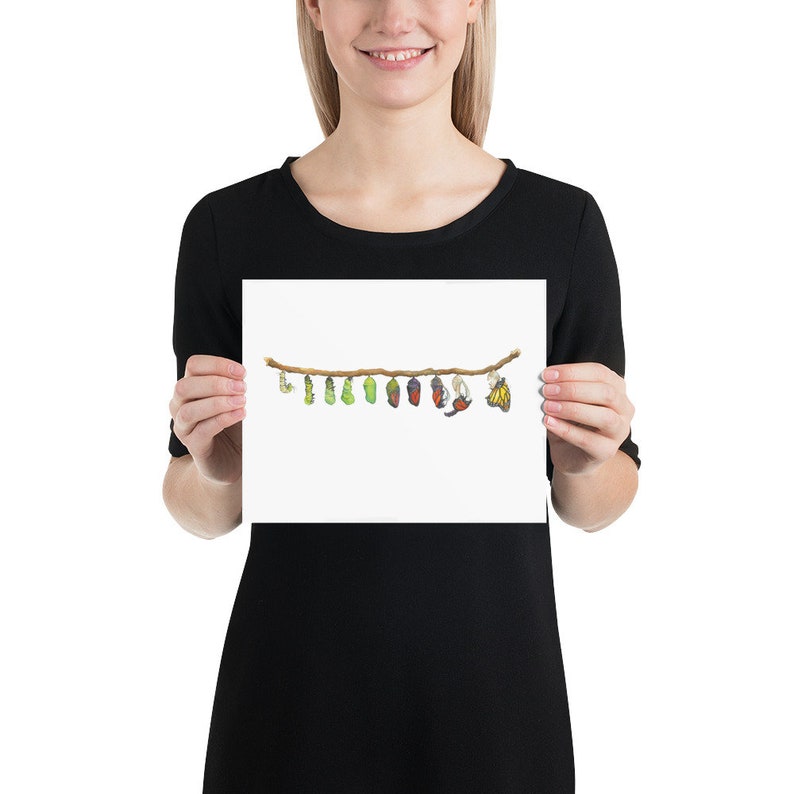 May include: A watercolor illustration of a branch with a series of butterfly chrysalises in various stages of development, from green to brown to red and finally a butterfly emerging from its chrysalis.