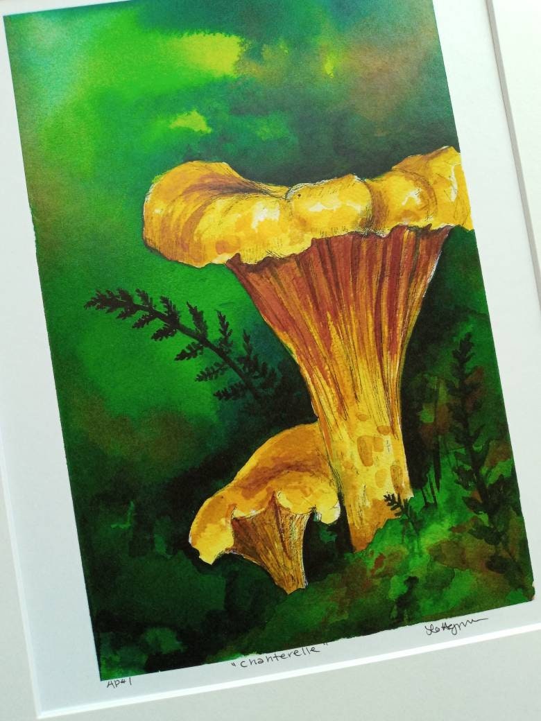 Chanterelle mushroom wall art watercolor art print Etsy
