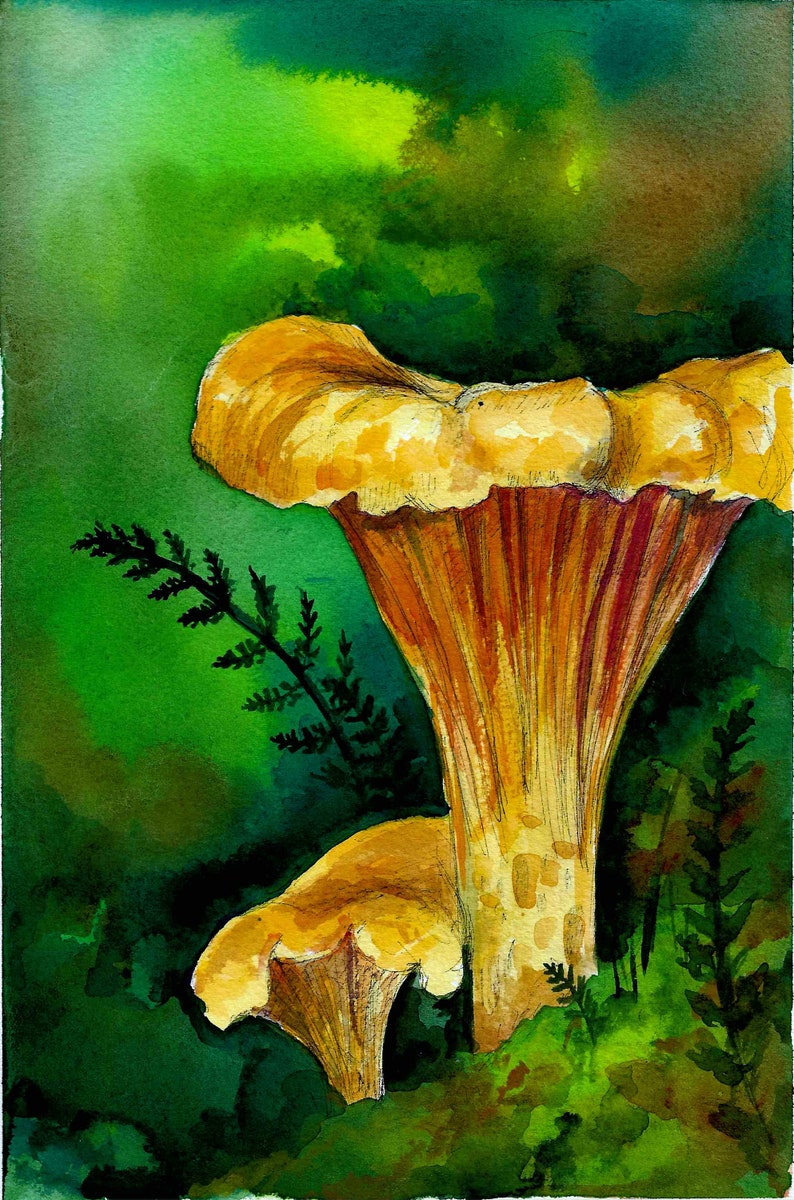 Chanterelle mushrooms original watercolor painting Etsy