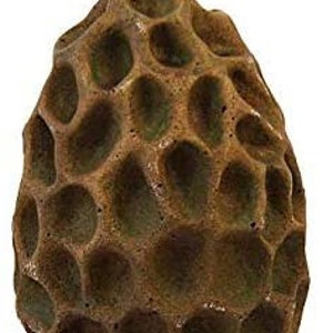 Solid Rock Stoneworks Morel Mushroom- 13in Tall