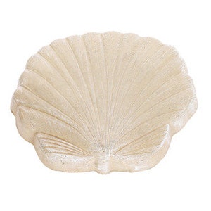 May include: A white ceramic seashell dish with a textured surface. The dish is shaped like a scallop shell and has a slightly raised lip.
