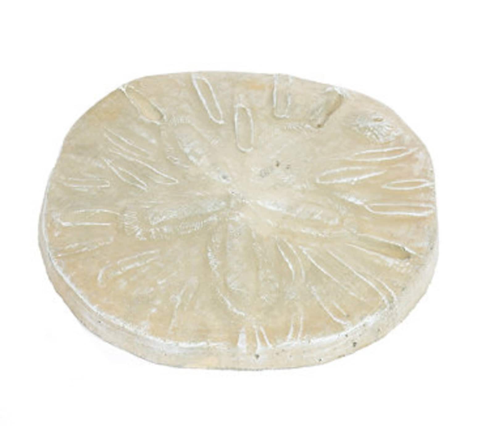 Solid Rock Stoneworks Sand Dollar Stepping Stone Desert Sand Etsy