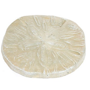 Solid Rock Stoneworks Sand Dollar Stepping Stone- Desert Sand