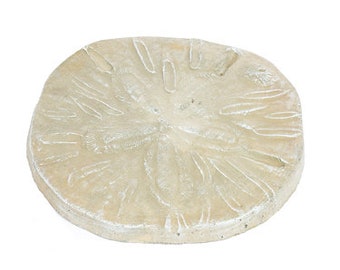 Solid Rock Stoneworks Sand Dollar Stepping Stone- Desert Sand