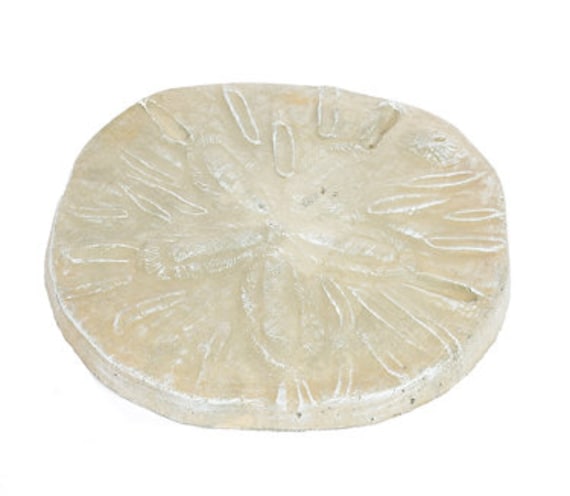 Solid Rock Stoneworks Sand Dollar Stepping Stone Desert Sand - Etsy