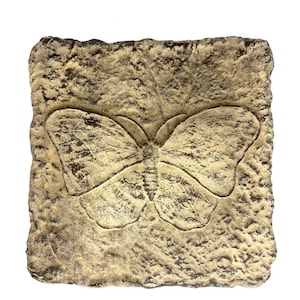 May include: A square, light brown, textured stone with a raised butterfly design. The butterfly is a light beige color and has a detailed wing pattern.
