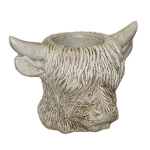 May include: A cream-colored Highland cow head planter with a textured, shaggy coat and curved horns. The planter has a circular opening for plants and is made of a durable material.