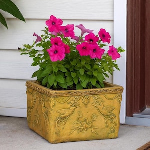 May include: A square, yellow-toned planter with embossed bird and floral designs, filled with vibrant pink petunias. The planter sits on a concrete surface near a white wall and a brown door.