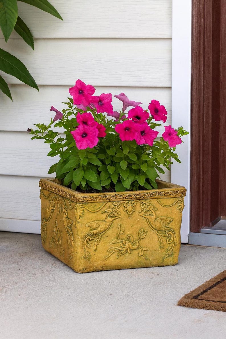 May include: A square, yellow-toned planter with embossed bird and floral designs, filled with vibrant pink petunias. The planter sits on a concrete surface near a white wall and a brown door.