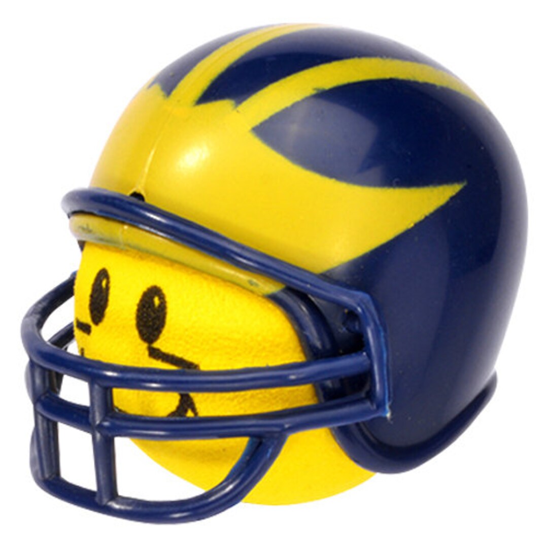 Michigan Wolverines Car Antenna Topper / Mirror Dangler / Dashboard