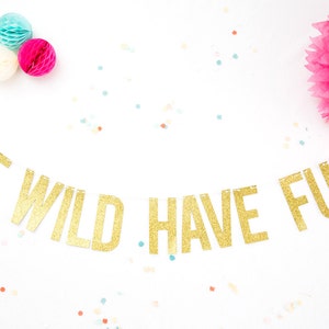 Glitter Banner . Be Wild Have Fun Banner . Party Letter garland .