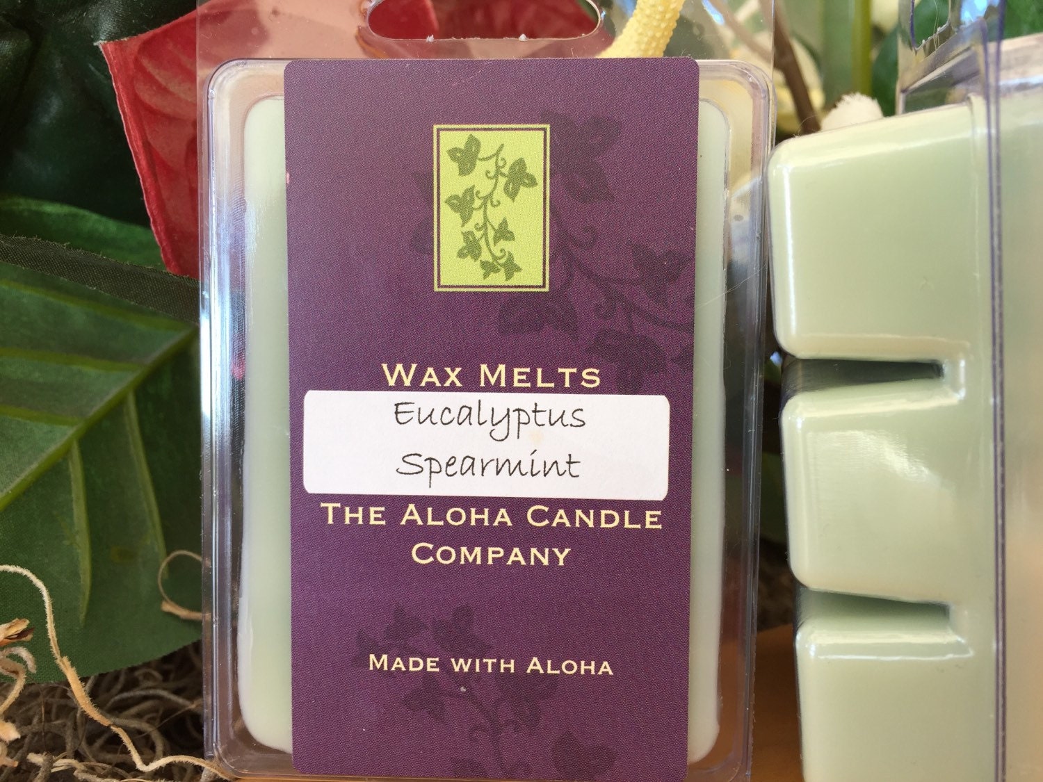 eucalyptus and spearmint wax melts