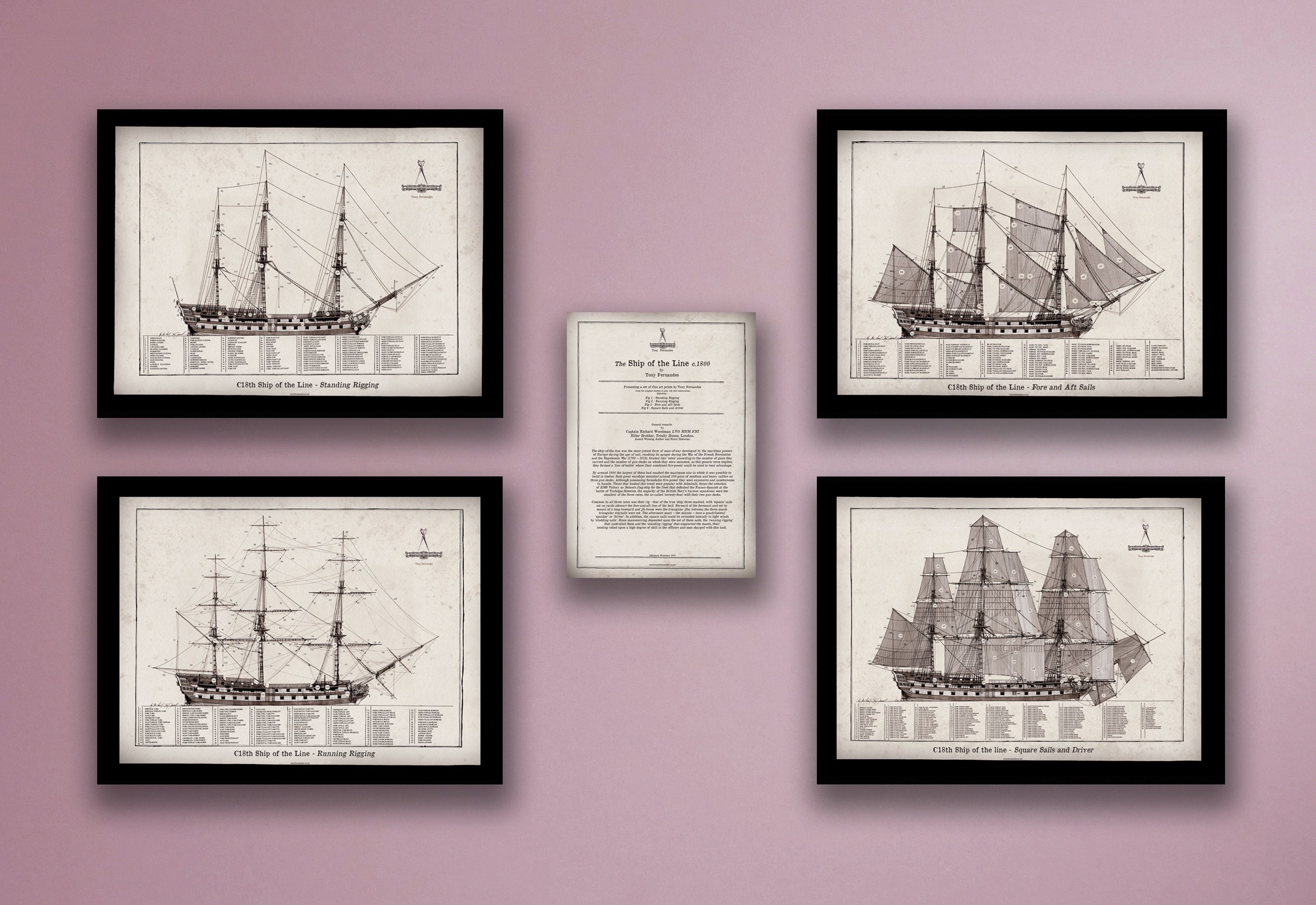 帆船模型参考洋書 The Story of Sail : Illustrate~ 帆船模型参考洋書 The Story of Sail : Illustrate~ - メルカリ