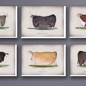 1) 6 Heritage Cow Cards by tony fernandes
