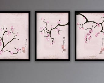 Set 1) Vintage Pink Blossom Prints by Tony Fernandes