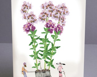 fun Oregano botanical kitchen garden herb card by Tony Fernandes