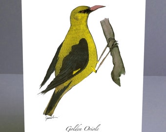 Golden Oriole bird fun greeting card