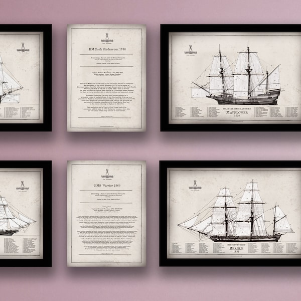 Mayflower, Bark Endeavour, HMS Beagle, HMS Warrior y notas del barco