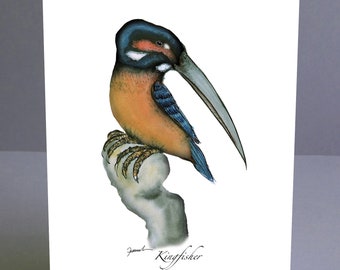 KIngfisher fun greeting card