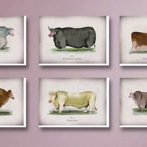 2) 6 Heritage Cow Cards by Tony Fernandes