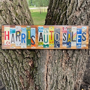YOUR BUSINESS NAME License Plate Sign, Fast, Free Shipping!!!