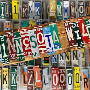 MINNESOTA WILD License Plate Sign, Fast, FREE Shipping!!
