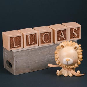 May include: Wooden blocks spelling the name "LUCAS" with a small lion figurine sitting in front of them. The blocks are stacked on a wooden shelf.
