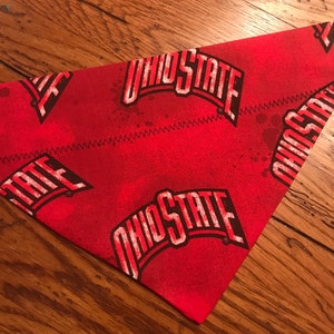 Ohio State Paint Splatter Dog Scarf