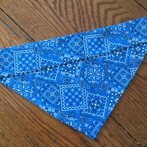 Bright Blue Bandana Print  Dog Scarf