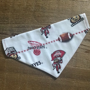 Ohio State Sports Print Dog Scarf