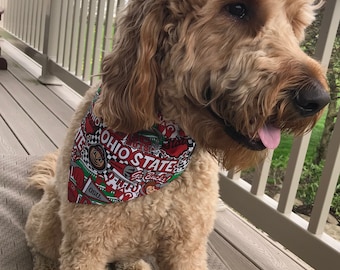 Ohio State Dog Scarf