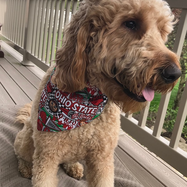 Ohio State Dog Etsy