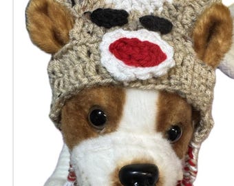 Sock  monkey dog hat