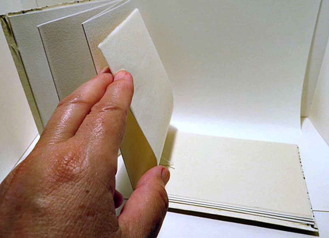 Book. Blank Concertina Book With Japanese Paper Covers. Unique Etsy