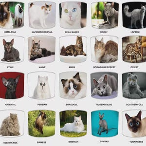 Cat Breeds Drum Lampshades: Handmade for Hanging Ceiling Light Pendants or Table Lamp shades