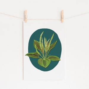 Plantain Botanical Art Print: Boho Cottagecore Decor (Digital Download)