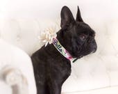 Dog Collar, Embroidered Dog Collar, Personalized Dog Collar, Floral Dog Collar, Collar, rose Collar, flower dog collar