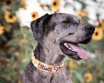 Autumn Dog Collar, Mustard Floral Collar, Embroidered Dog Collar, Personalized Dog Collar, Floral Dog Collar, Fall Collar, Custom Dog Collar