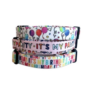 Birthday Dog Collar, Dog Collar for Birthdays, Custom Dog Collar, Embroidered Dog Collar, Personalized Dog Collar, Engraved Dog Collar