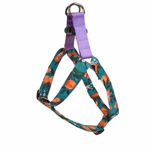 Step In Harness, step-in harness, Dog Harness, step-in dog harness, Harness for Dog, Harness for large dogs, Harness for small dogs, custom