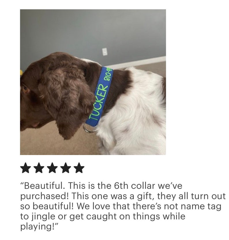 Add a pop of color to your pup’s look with a Duke & Fox® personalized dog collar! 💙 Handmade in Tennessee, this vibrant blue collar features your dog’s name beautifully embroidered in your choice of font and thread color for a truly custom design. Crafted for durability and comfort, it’s perfect for everyday adventures and special occasions. Choose from endless color combinations and upgrade with an engraved buckle for added safety and style — made just for your best friend!